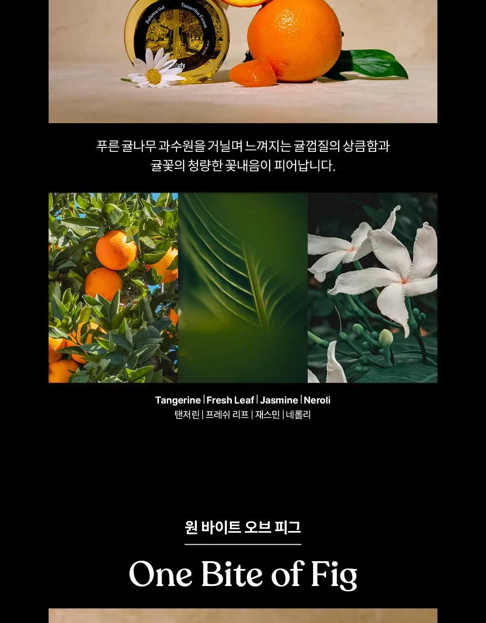 [NEW]리리러피 밸런스 젤 150ml 4종 택 1(무향,코튼향,귤꽃향, 무화과향) 상세페이지 18